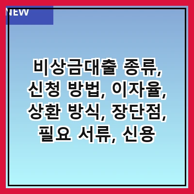 비상금대출 종류, 신청 방법, 이자율, 상환 방식, 장단점, 필요 서류, 신용 점수 영향, 주의 사항