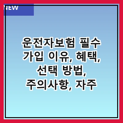 운전자보험 필수 가입 이유, 혜택, 선택 방법, 주의사항, 자주 묻는 질문